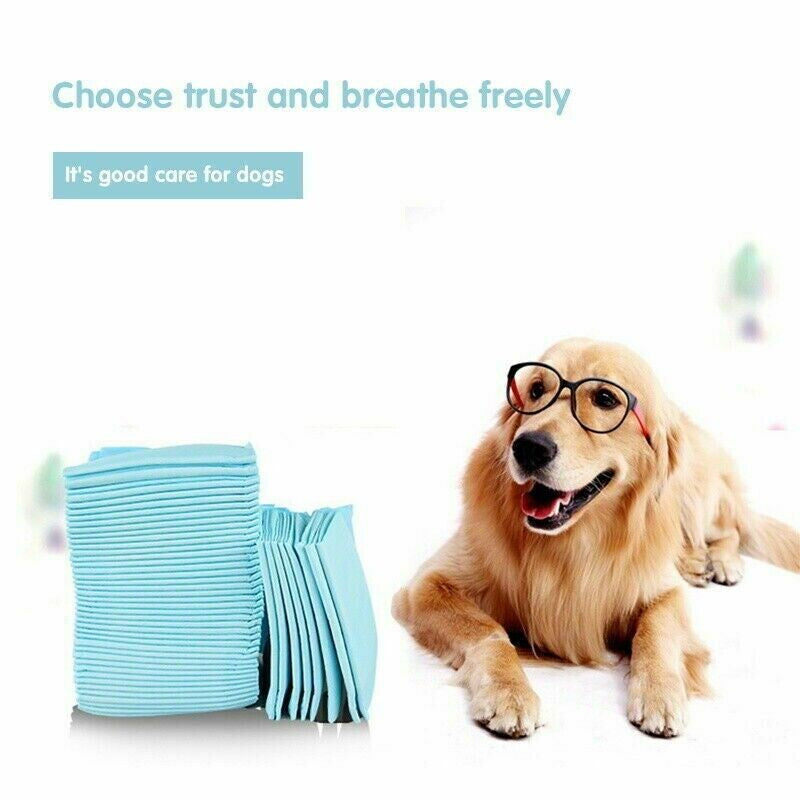 30 Extra-Large Puppy Training Pads for Effective Toilet Training of Dogs and Cats