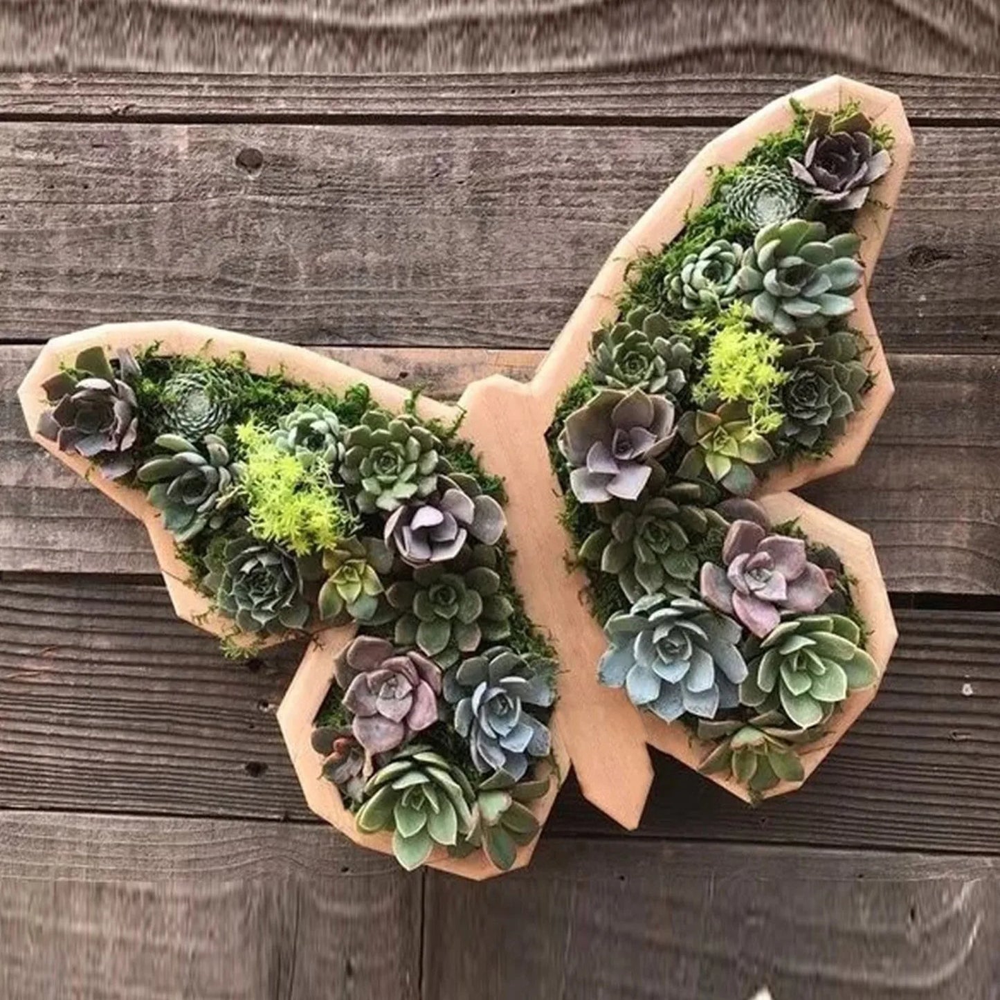 Animal-Shaped Succulent Wooden Planters: Turtle, Bull Head, Clover, Horse Head, and Butterfly Garden Accessories