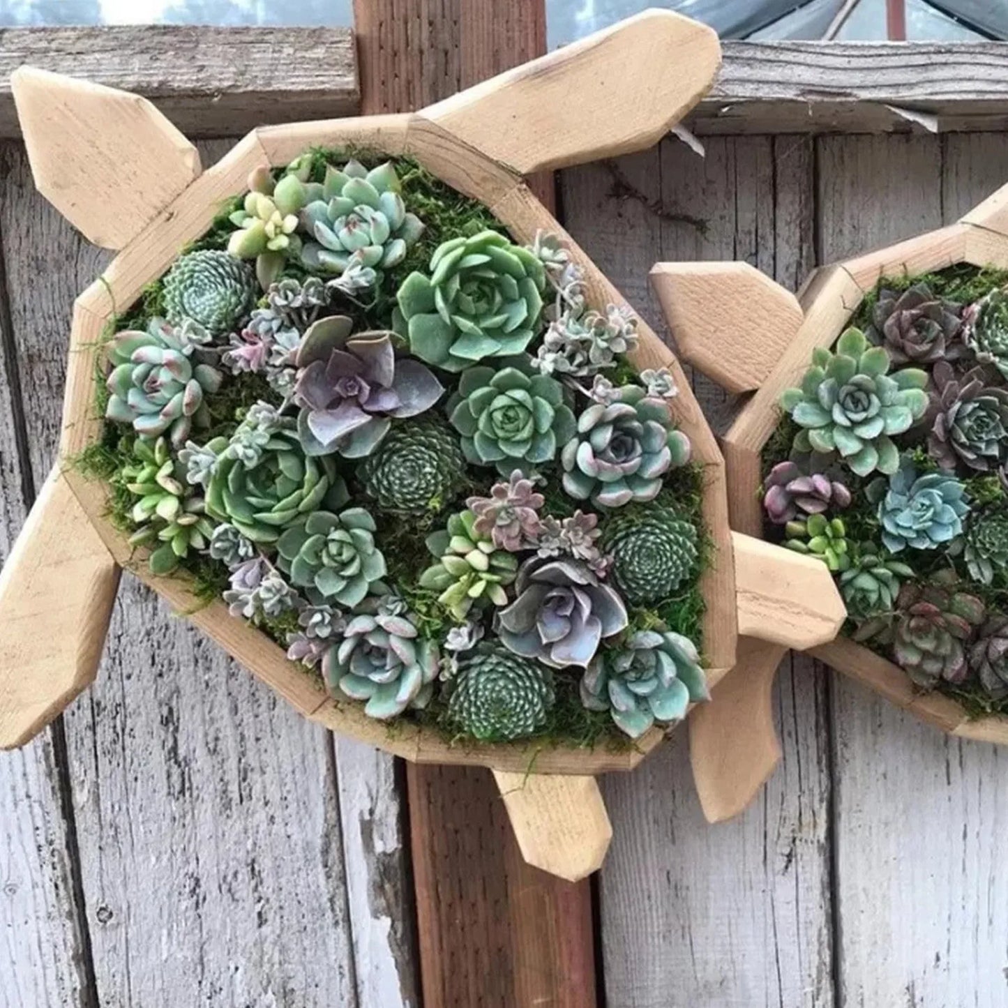 Animal-Shaped Succulent Wooden Planters: Turtle, Bull Head, Clover, Horse Head, and Butterfly Garden Accessories