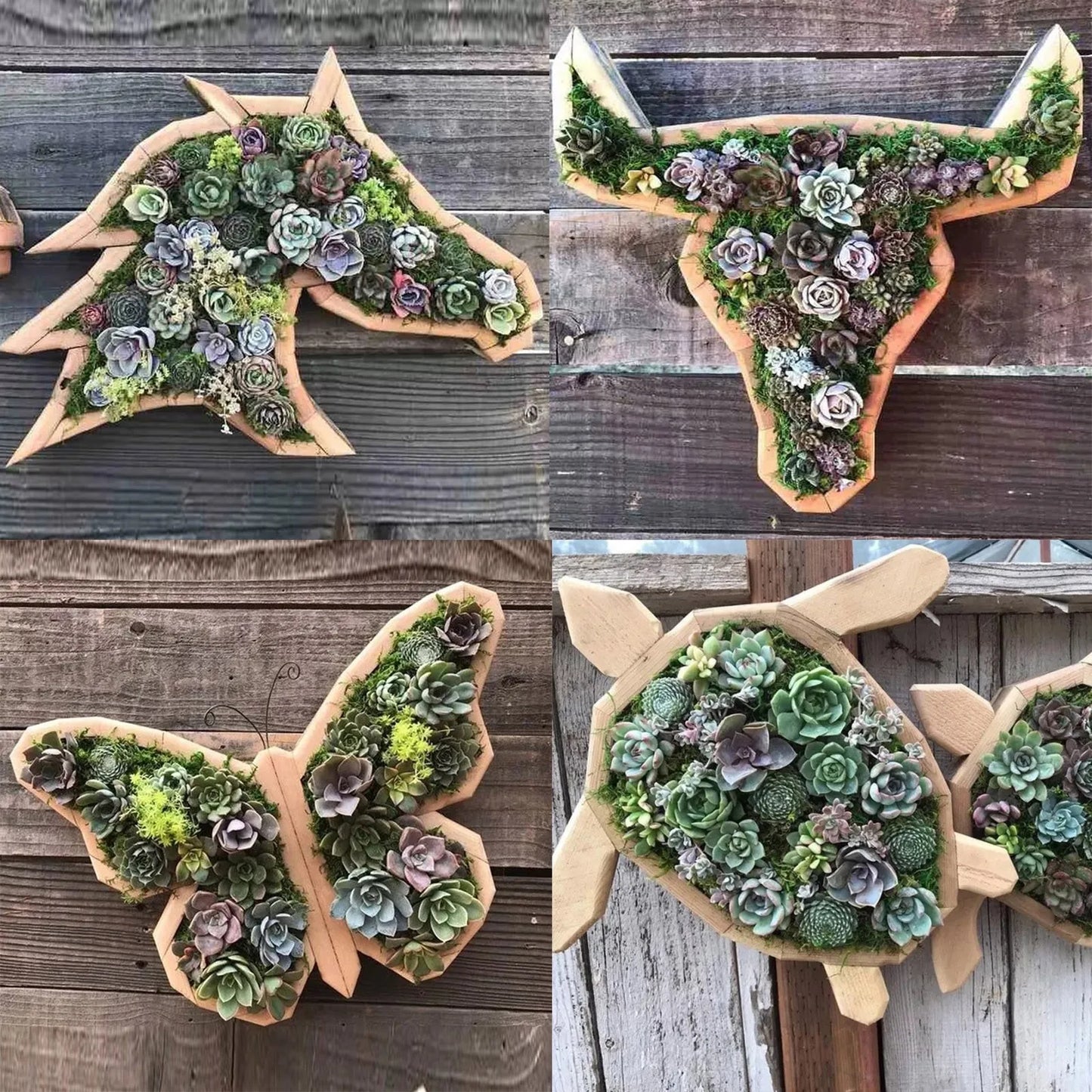 Animal-Shaped Succulent Wooden Planters: Turtle, Bull Head, Clover, Horse Head, and Butterfly Garden Accessories