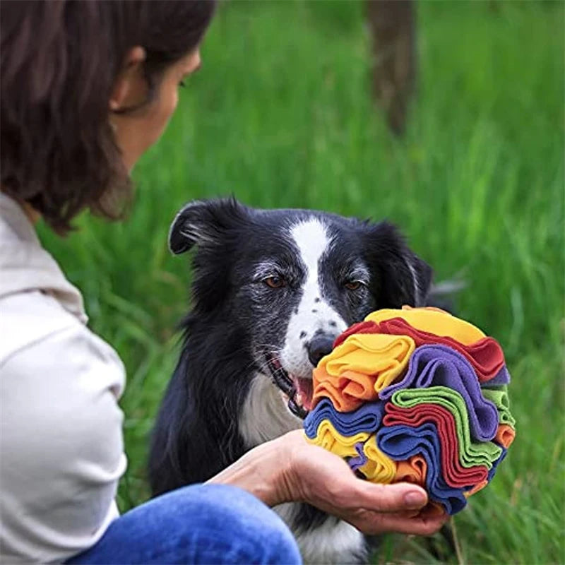 Interactive Dog Snuffle Ball Mat with Removable Pads - Sniffing Training Blanket and Puzzle Toy for Pets