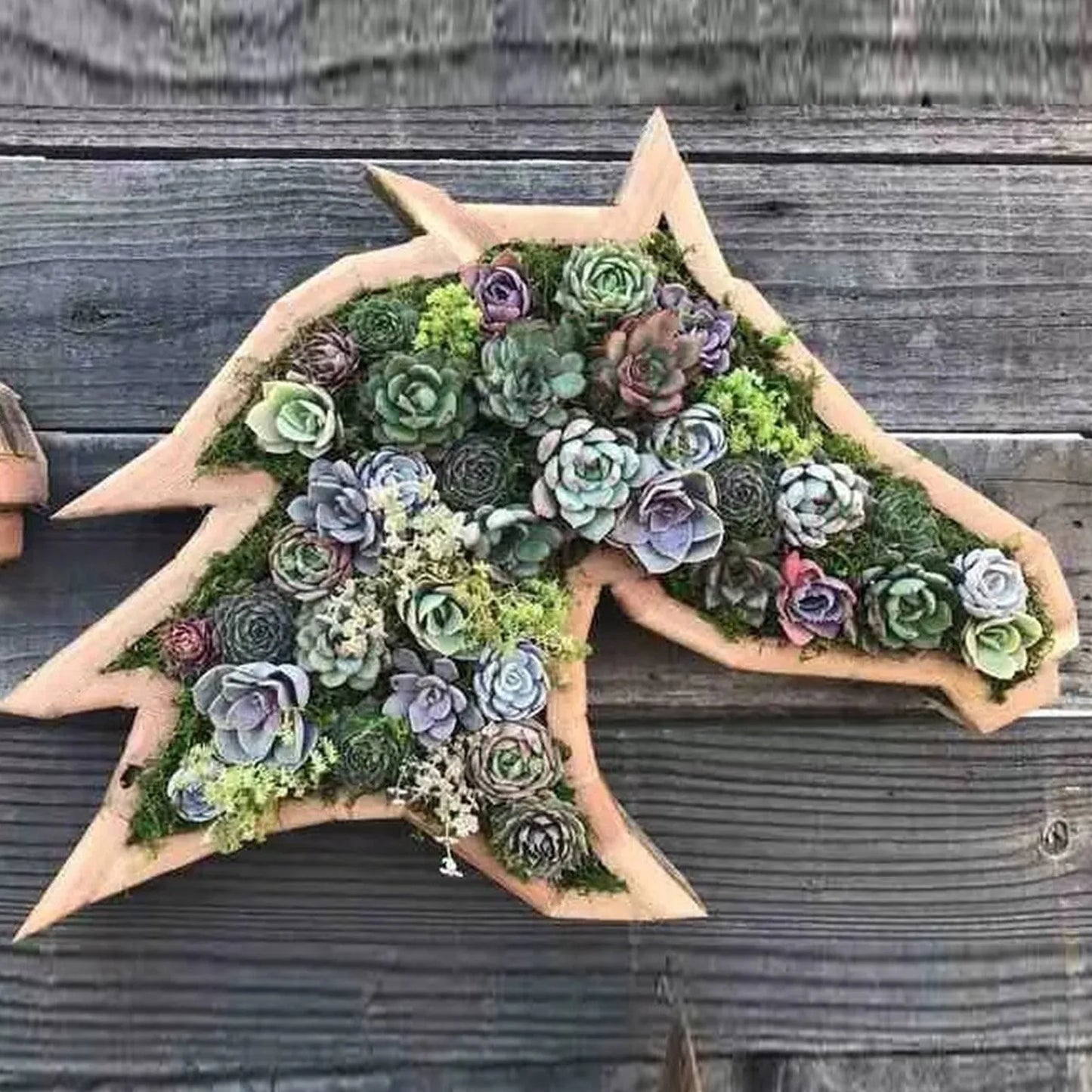 Animal-Shaped Succulent Wooden Planters: Turtle, Bull Head, Clover, Horse Head, and Butterfly Garden Accessories