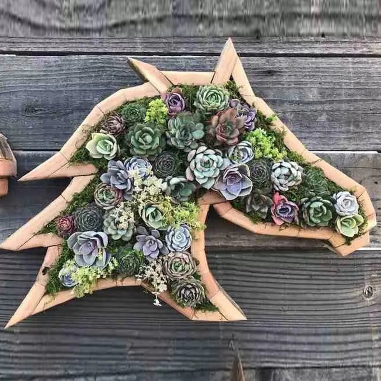 Animal-Shaped Succulent Wooden Planters: Turtle, Bull Head, Clover, Horse Head, and Butterfly Garden Accessories