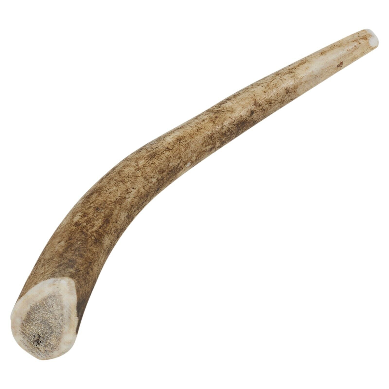 Natural Long-Lasting Red Deer Elk Antler Chew Toy for Dogs