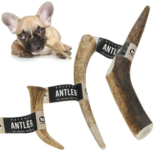 Natural Long-Lasting Red Deer Elk Antler Chew Toy for Dogs