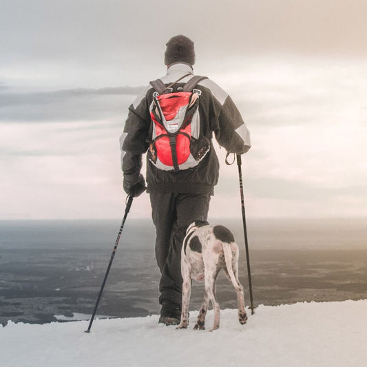 Adjustable Aluminum Hiking and Trekking Pole (65-135 cm)