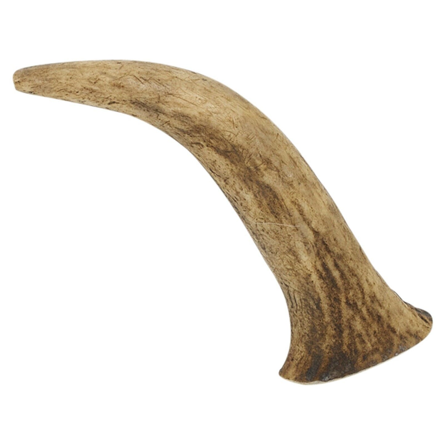 Natural Long-Lasting Red Deer Elk Antler Chew Toy for Dogs
