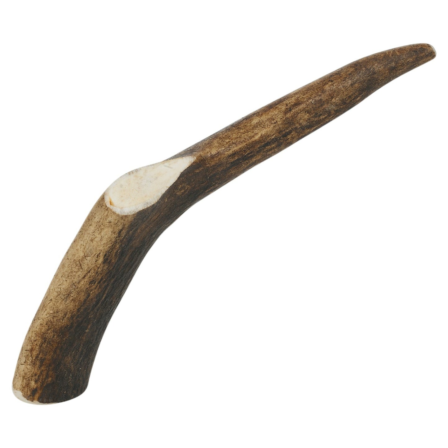 Natural Long-Lasting Red Deer Elk Antler Chew Toy for Dogs