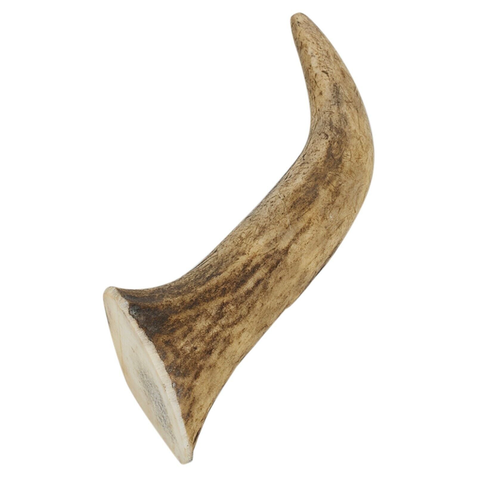 Natural Long-Lasting Red Deer Elk Antler Chew Toy for Dogs