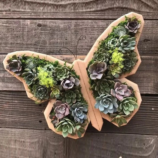 Animal-Shaped Succulent Wooden Planters: Turtle, Bull Head, Clover, Horse Head, and Butterfly Garden Accessories