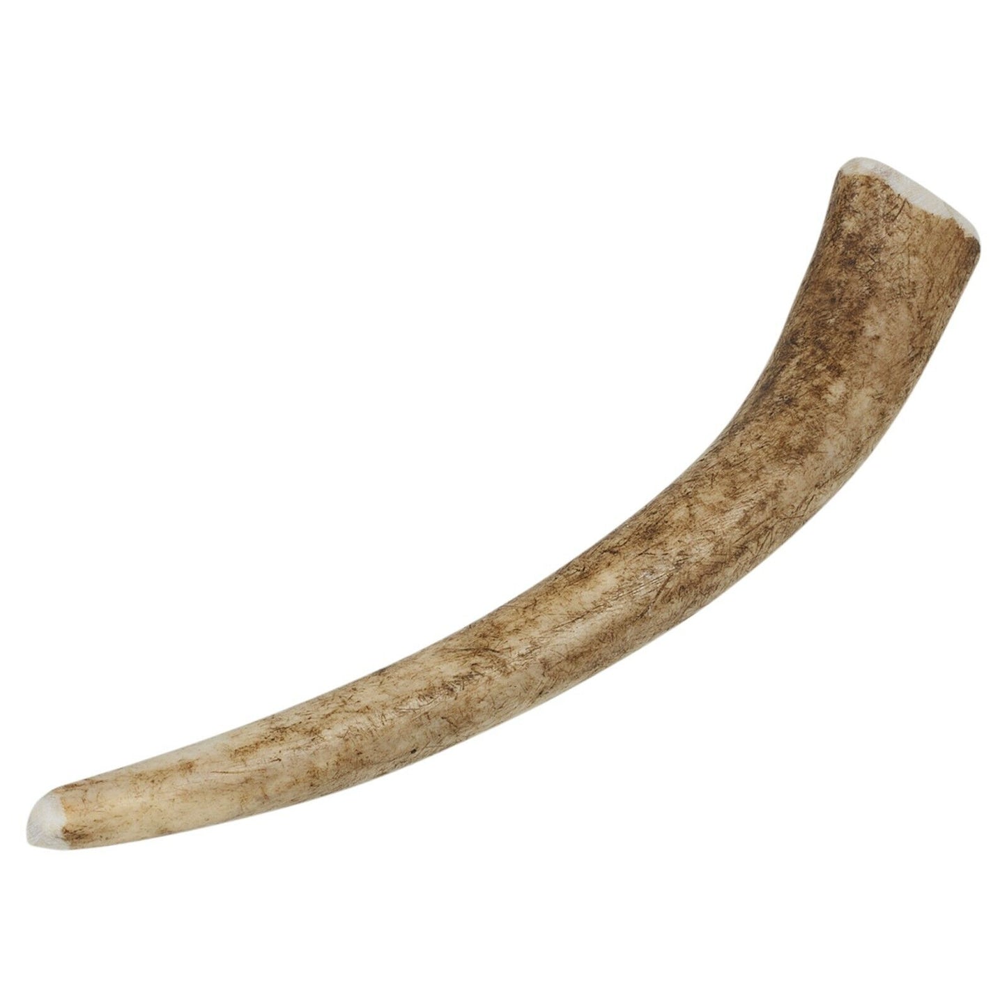Natural Long-Lasting Red Deer Elk Antler Chew Toy for Dogs