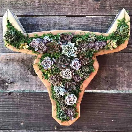 Animal-Shaped Succulent Wooden Planters: Turtle, Bull Head, Clover, Horse Head, and Butterfly Garden Accessories