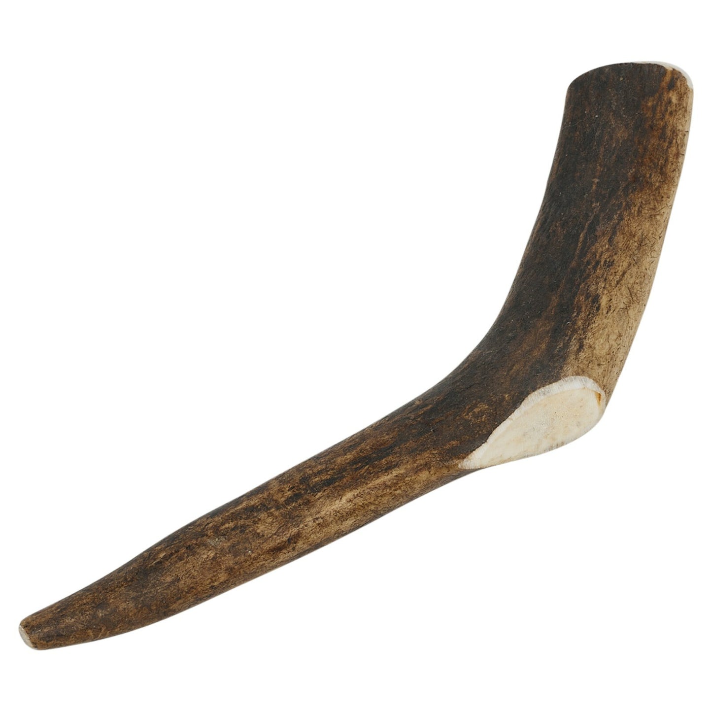 Natural Long-Lasting Red Deer Elk Antler Chew Toy for Dogs