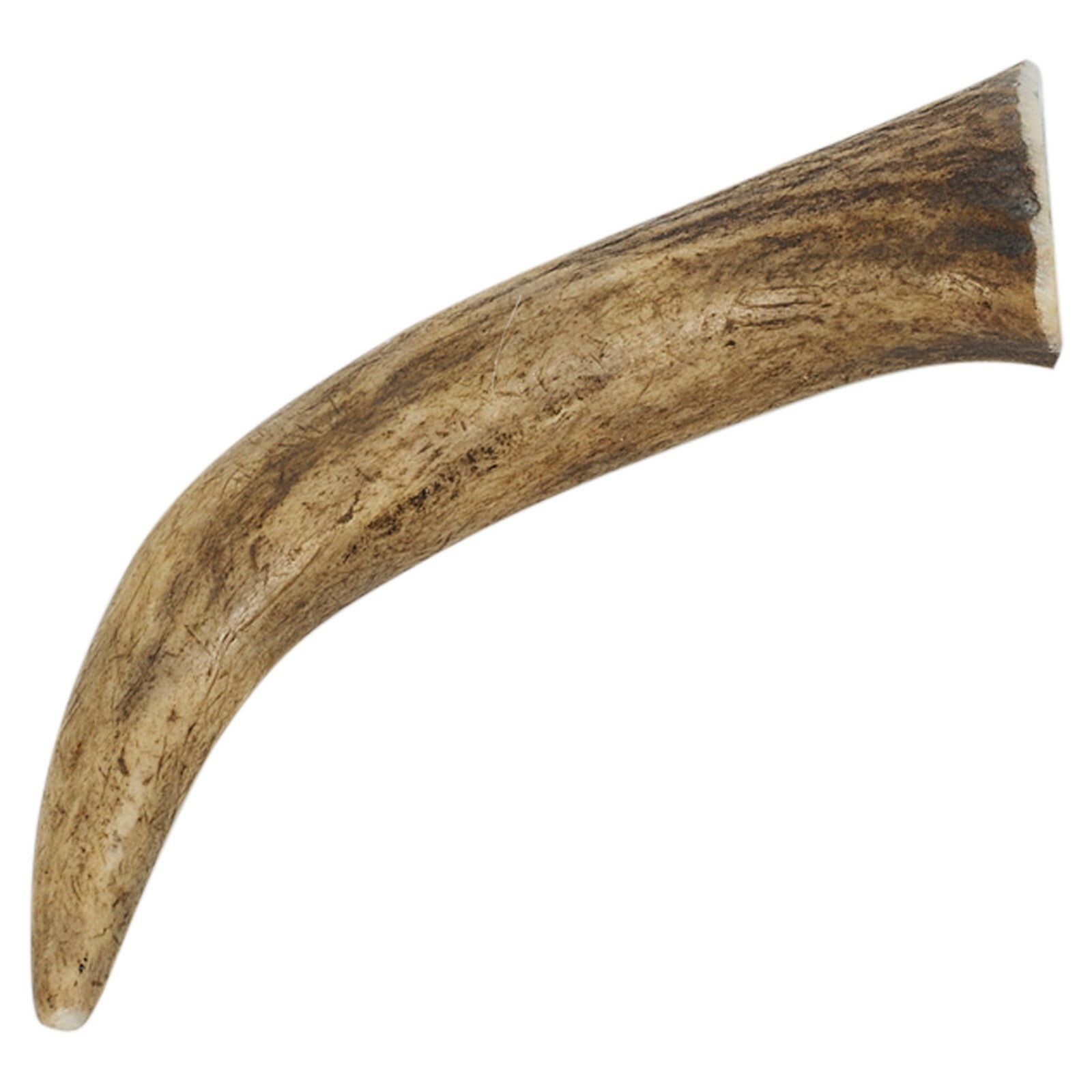 Natural Long-Lasting Red Deer Elk Antler Chew Toy for Dogs
